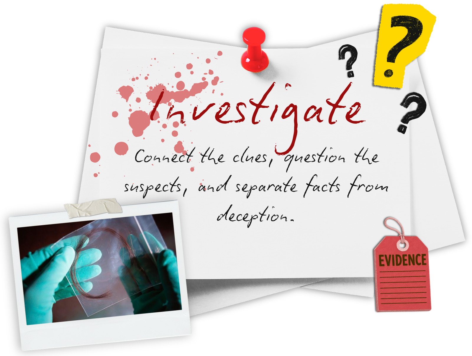 Step 2: Investigate